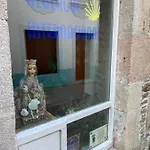 Albergue Internacional Vandrerhjem *